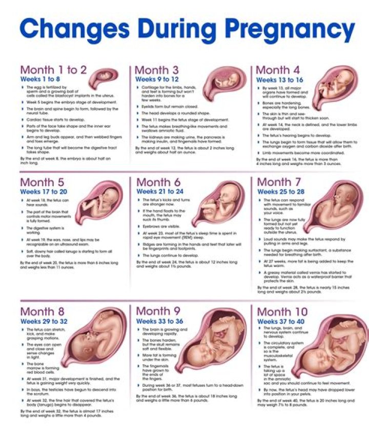 Can You Safely Sip Bloom During Pregnancy?