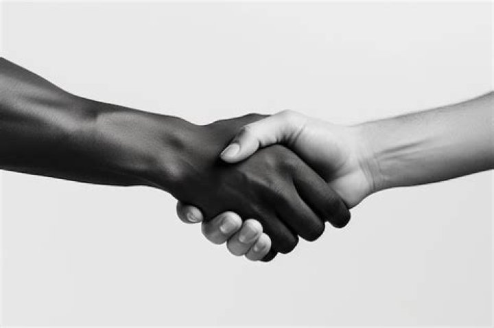 Debunking The Kin Connection And Unveiling Fascinating Collaborations