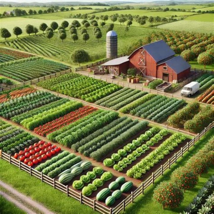 Discover The Perfect Name For Your Thriving Farm