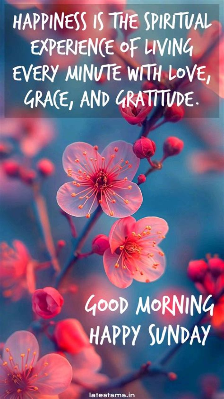 Discover The Power Of Good Sunday Morning Quotes And Images