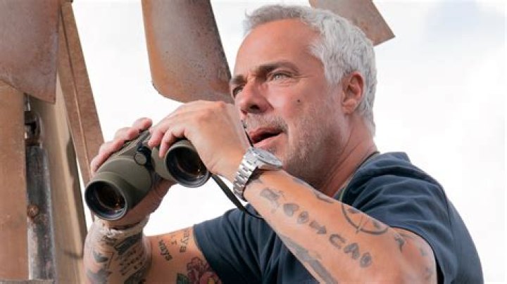 Real Vs. Fake Bosch Tattoos