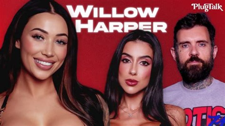 The Impact And Lessons Of The "Willow Harper Leaks"