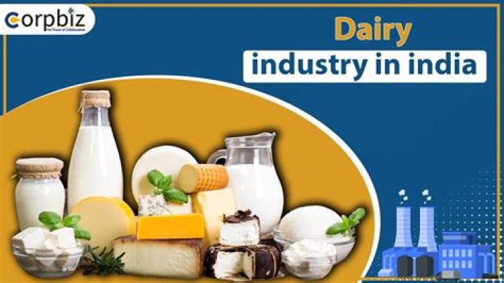 Unveiling Kenya's Milk Industry: Discoveries And Insights