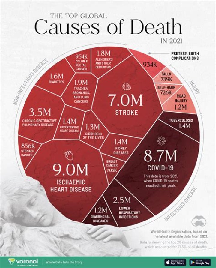 Unveiling The Cause Of Death And Beyond