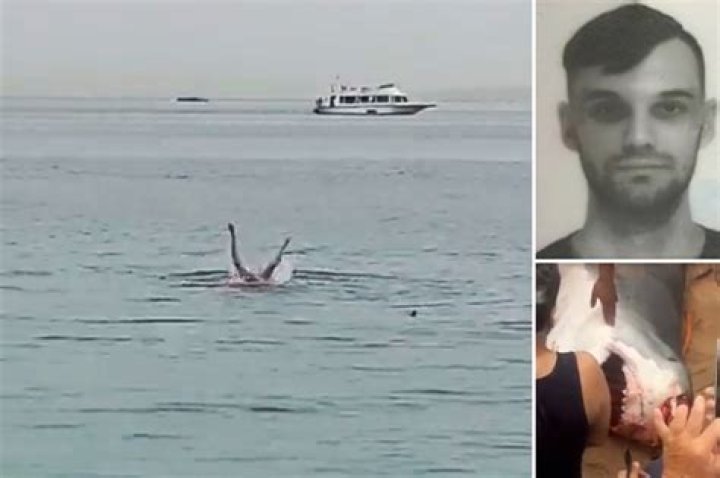 Unveiling The Tragic Tale Of Vladimir Popov's Shark Encounter